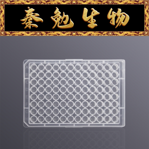 LABSELECT96孔PP微孔板33117