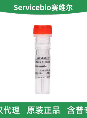 Servicebio赛维尔 GB15140-100 重组抗β-微管蛋白抗体 Mouse mAb
