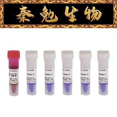 赛维尔GN100bpDNALadderII