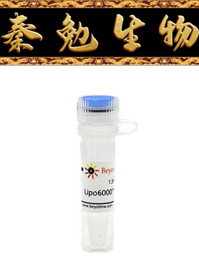碧云天 C0526-0.5ml/1.5ml/7.5ml Lipo6000™转染试剂