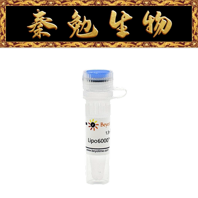 碧云天Lipo6000™转染试剂C0526