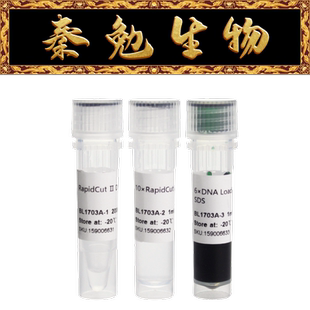 Biosharp白鲨 BL1703A RapidCut Ⅱ DraI 快速限制性内切酶
