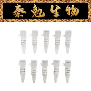 赛维尔 G1802-10ML PEI 40K转染试剂