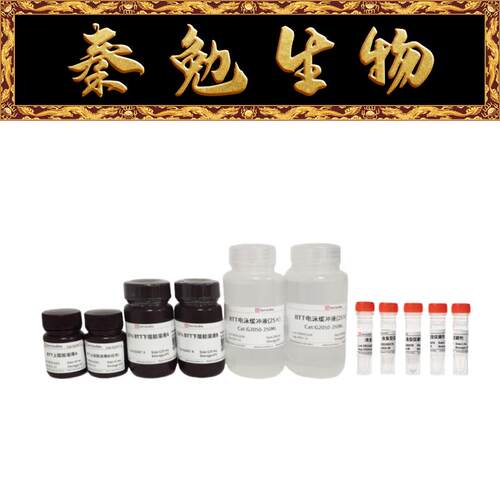 10%PAGE高分辨彩色凝胶赛维尔