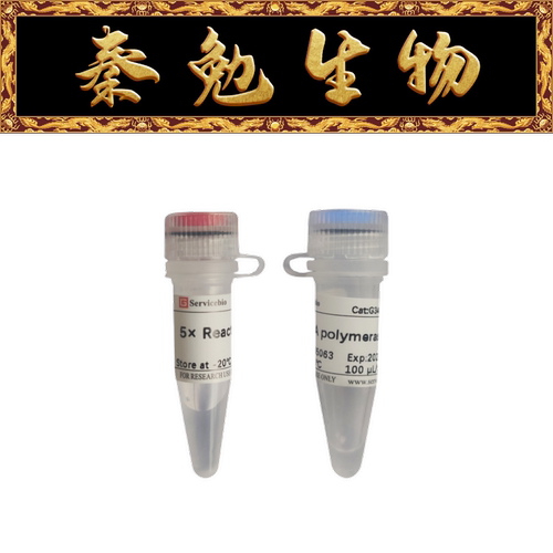 赛维尔RNA聚合酶G3402-5000U
