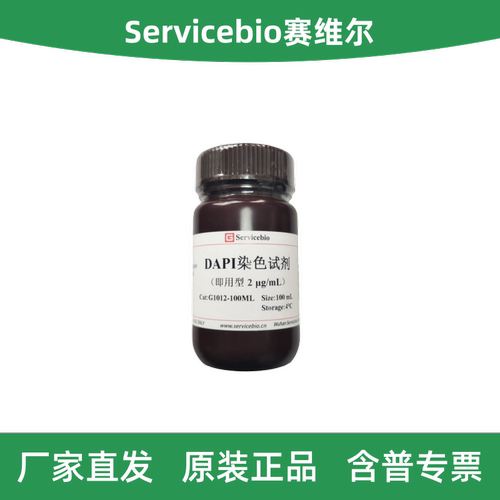赛维尔DAPI染色试剂（即用型）
