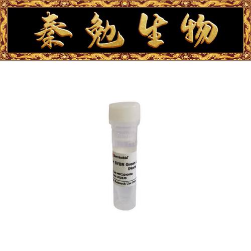 赛维尔SYBRGreenqPCR预混液