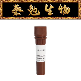Biosharp白鲨 BL1595A 羊抗小鼠IgG-HRP,1:500-2000