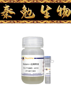 碧云天 AF0189 HSP70 Rabbit Polyclonal Antibody