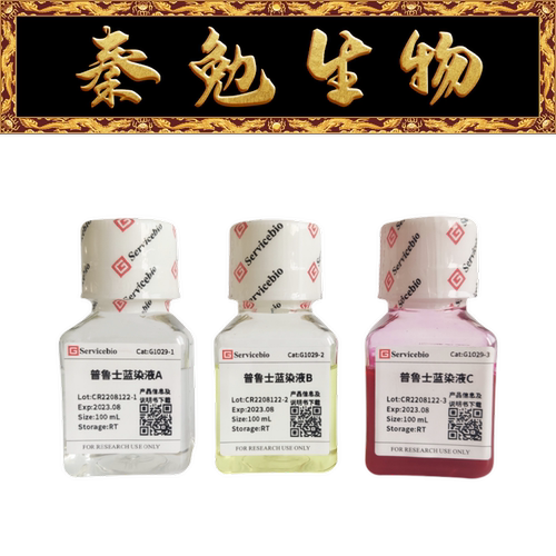 G1029-100ML普鲁士蓝染液赛维尔