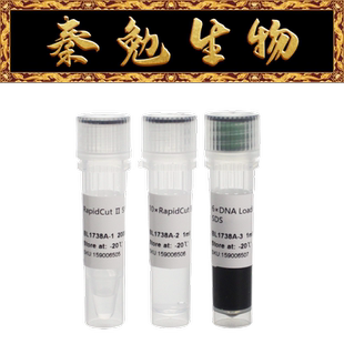Biosharp白鲨 BL1738A RapidCut Ⅱ SfiI 快速限制性内切酶