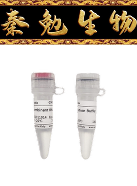 赛维尔 货号：G3405-1ML 重组RNase A（10 mg/mL）