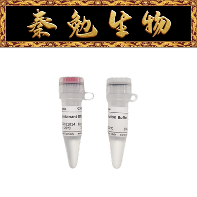 赛维尔重组RNaseAG3405-1ML