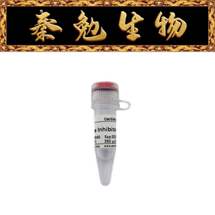 RNA酶抑制剂 赛维尔 货号:G3414 10KU 猪源