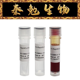 Biosharp白鲨 BL1346A RapidCut EagI 快速限制性内切酶