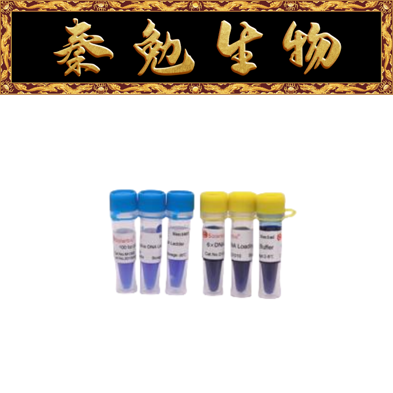 索莱宝6×DNA上样缓冲液D1010