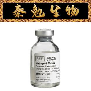 Matrigel 基质胶 无酚红 货号：356237