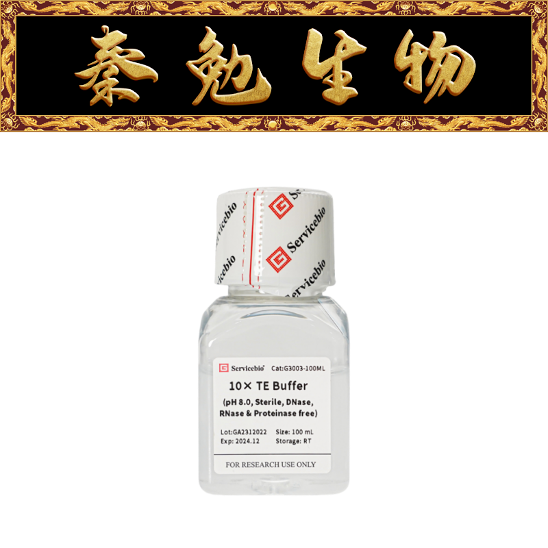 赛维尔10×TEBufferG3003-100ML