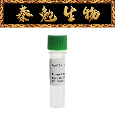 BiosharpOligo18(dT)引物