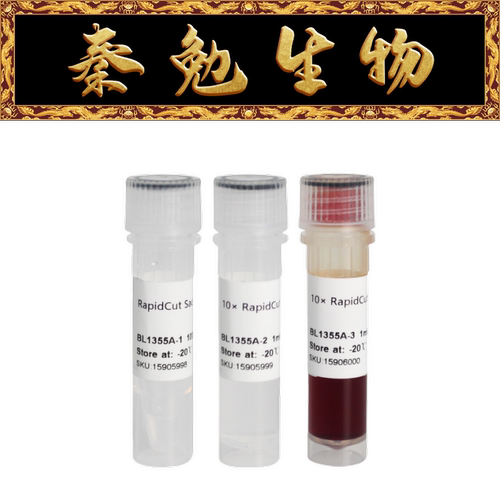 Biosharp快速限制性内切酶