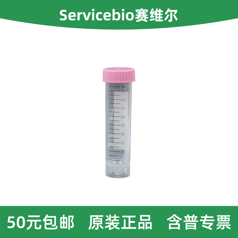 Servicebio赛维尔离心管50mL图片