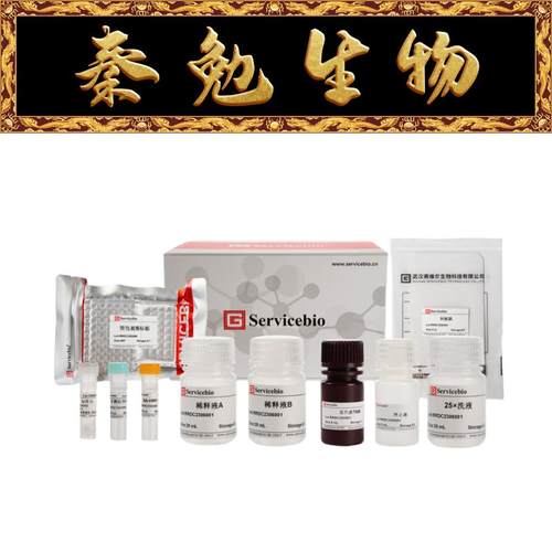 赛维尔MouseMMP-9GEM0021-48T