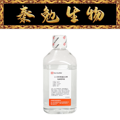 赛维尔快速高分辨电泳缓冲液