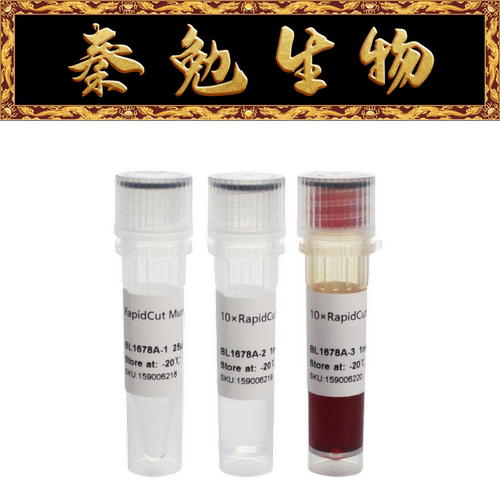 Biosharp快速限制性内切酶