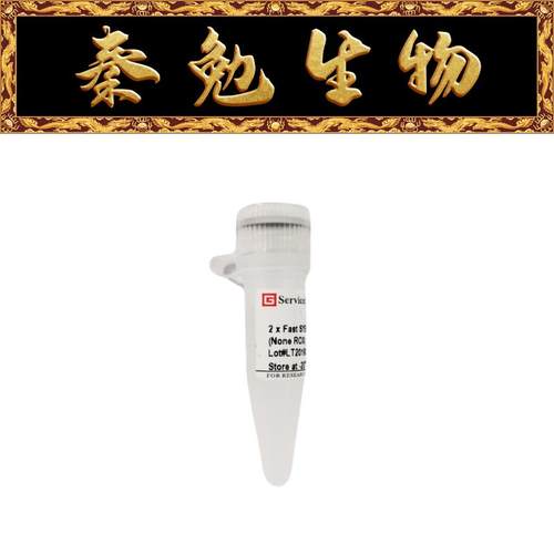 SYBRGreenqPCR预混液赛维尔