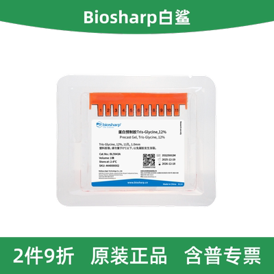白鲨蛋白预制胶Tris-Gly,12%