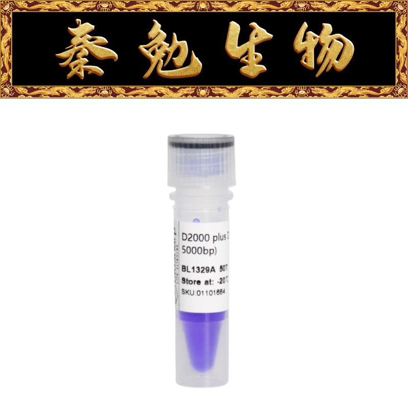 BiosharpD2000plusDNAMarker