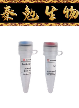 赛维尔 货号：G3416-10KU SweScript Reverse Transcriptase II
