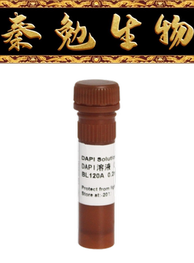 Biosharp白鲨 BL120A DAPI溶液（5mg/ml）