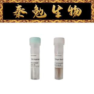 赛维尔 货号：G3434-50PMOL Tth Argonaute (TtAgo)