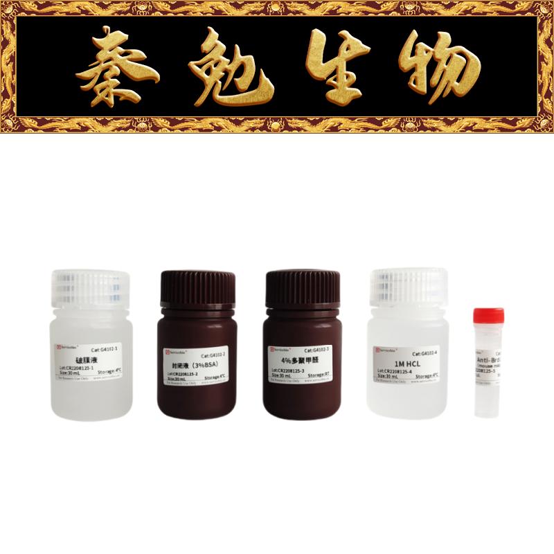 G4102-50TBrdU检测试剂盒赛维尔