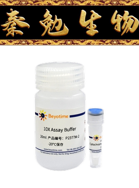 碧云天 P2377S/P2377M/P2377L 重组人NADPH细胞色素P450还原酶