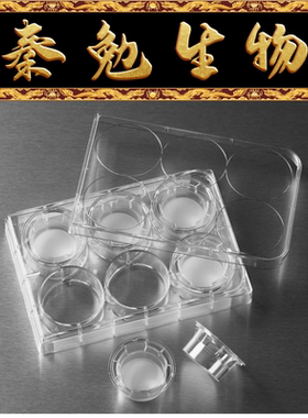 Corning 货号：3414 Transwell嵌套，含6孔板（PC膜 24mm 3.0um)