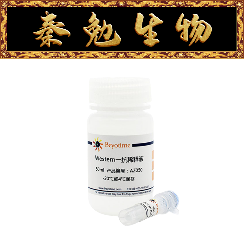 碧云天兔FGF2多克隆抗体