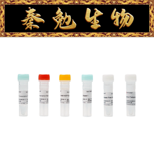 赛维尔高产量T7RNA转录试剂盒