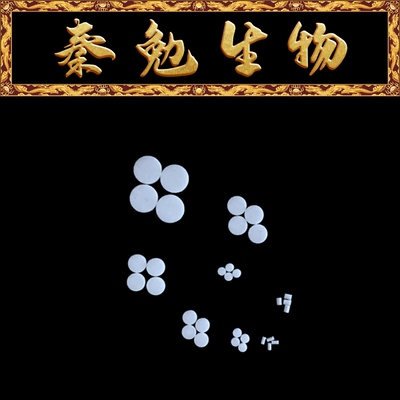 Servicebio赛维尔10μL滤芯