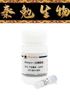 碧云天 AF5228 JNK2/MAPK9兔多克隆抗体