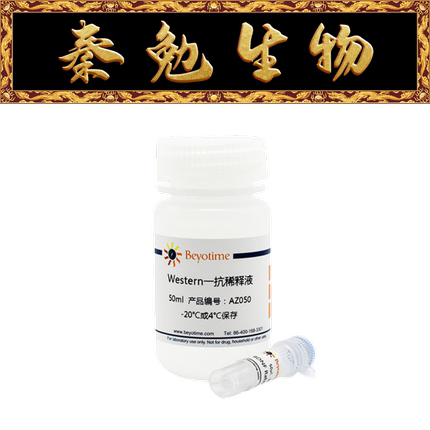 碧云天 AF7326 KCNH2兔多克隆抗体