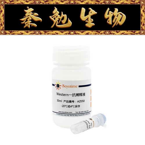 碧云天MMP10兔多克隆抗体