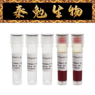 Biosharp白鲨 BL1242A RapidCut KpnI 快速限制性内切酶