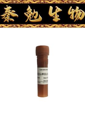 赛维尔 货号：GB28303 Alexa Fluor 594标记山羊抗小鼠IgG