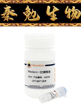 碧云天 AF7911 RPLP0兔多克隆抗体