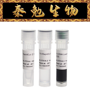 Biosharp白鲨 BL1731A RapidCut Ⅱ PvuI 快速限制性内切酶