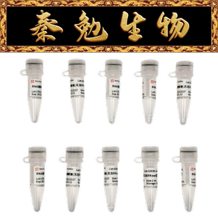RNA溶解液 赛维尔 货号：G3030 10ML 灭活RNase型