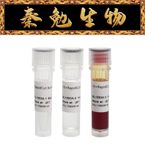 Biosharp白鲨RapidCutXcmI