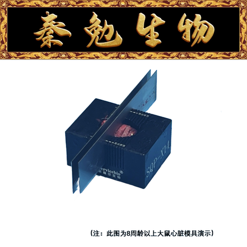 赛维尔切片模具（心脏）SQP-X9